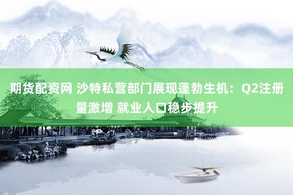 期货配资网 沙特私营部门展现蓬勃生机：Q2注册量激增 就业人口稳步提升