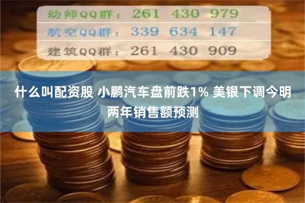 什么叫配资股 小鹏汽车盘前跌1% 美银下调今明两年销售额预测