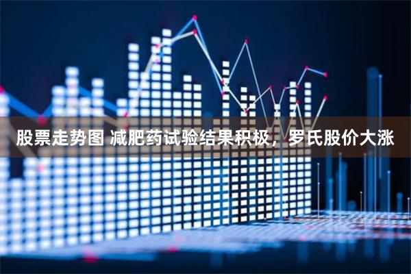 股票走势图 减肥药试验结果积极，罗氏股价大涨