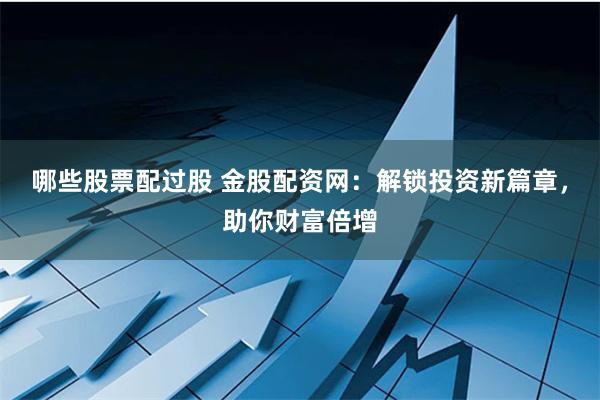 哪些股票配过股 金股配资网：解锁投资新篇章，助你财富倍增