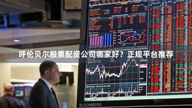 呼伦贝尔股票配资公司哪家好?正规平台推荐