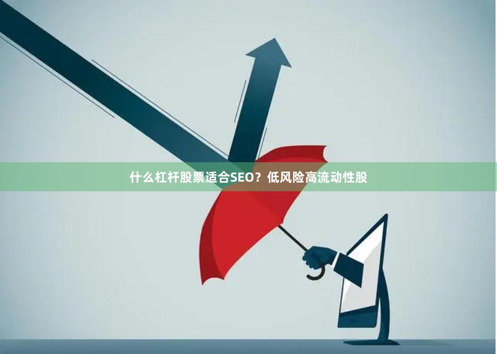 什么杠杆股票适合SEO？低风险高流动性股