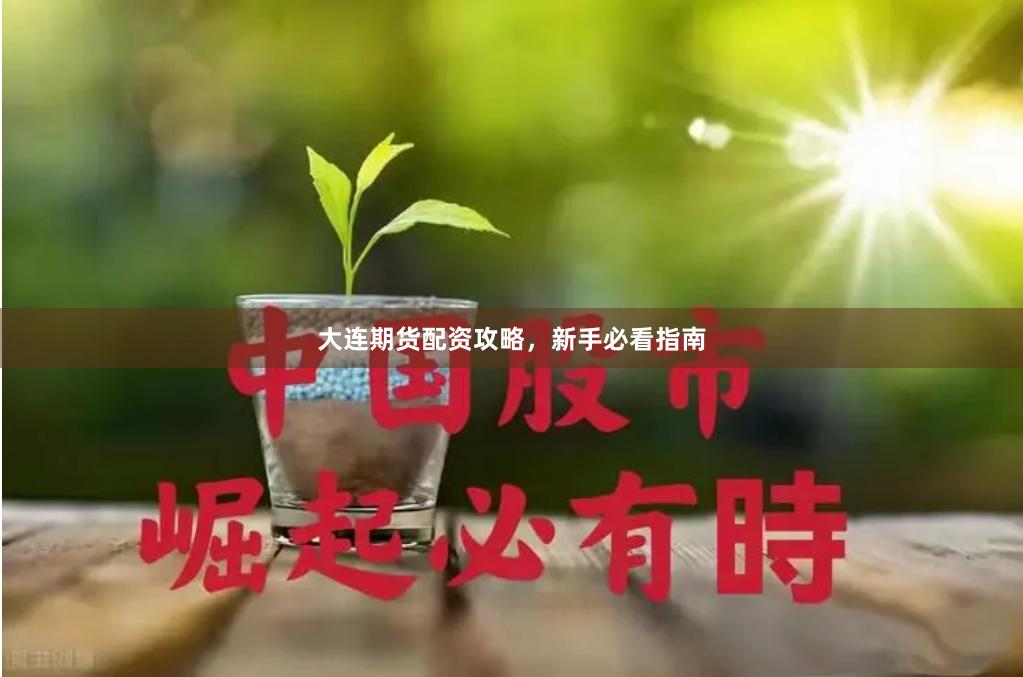 大连期货配资攻略，新手必看指南